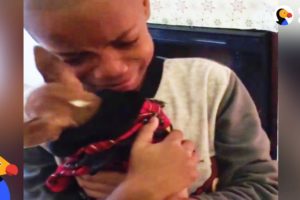 Boy Has BEST Reaction to Dog Adoption | The Dodo