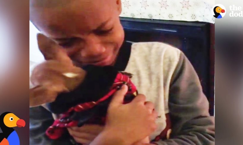 Boy Has BEST Reaction to Dog Adoption | The Dodo