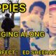 CUTE PUPPIES SINGING ALONG ED SHEERAN'S SONG | PERFECT | MAN'S BEST FRIEND