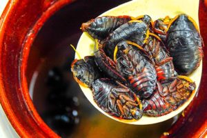 Chinese Cockroach Soup!! Exotic Food Tour in Hong Kong!!!