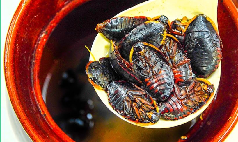Chinese Cockroach Soup!! Exotic Food Tour in Hong Kong!!!