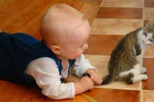 Cute Kittens and Babies Playing Together Compilation