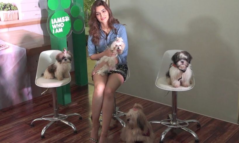 Cute Puppies POSE With Kriti Sanon On Stage ??| Kriti And Nupur Sanon