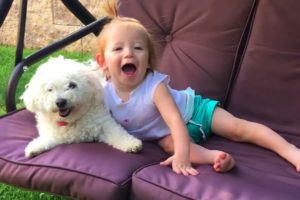Cute Puppies and Babies Playing Together Compilation 2020