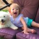 Cute Puppies and Babies Playing Together Compilation 2020