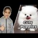 Cute Puppies with Saad - Amazine Funny Puppies