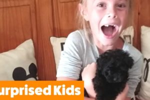 Cutest Puppy Surprise For Kids | Funny Pet Videos