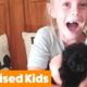 Cutest Puppy Surprise For Kids | Funny Pet Videos
