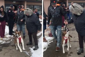 Dog Gets Parade After Being Adopted After 500 Days