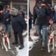 Dog Gets Parade After Being Adopted After 500 Days