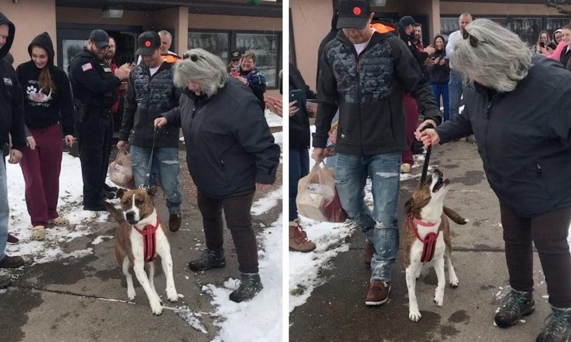 Dog Gets Parade After Being Adopted After 500 Days