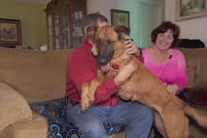 Dog That Watched Her Family Adopt Another Pet At Shelter Gets New Home