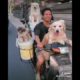 Dog's migrates- Cute Puppies // Videos World