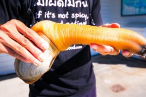 Eating a GIANT GEODUCK in Washington! | Exotic Seafood!