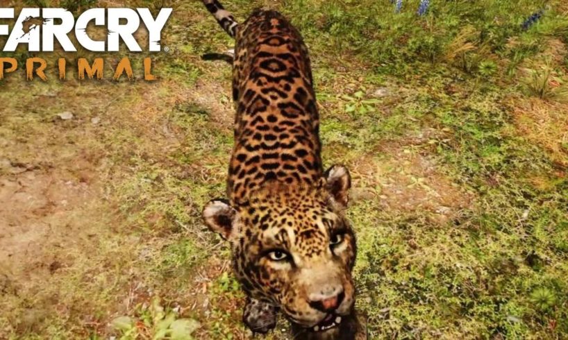 FAR CRY PRIMAL - Jaguar Animal Fight Compilation (PS4) HD