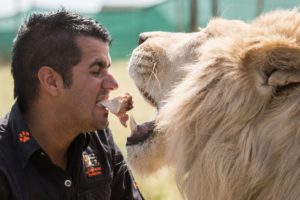 Family Loses Home To Keep Their Tigers And Lions