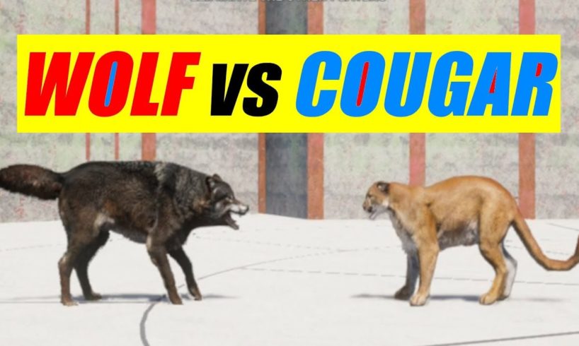 Far Cry 5 Arcade - Animal Fight: Cougar vs Wolf Battles (Custom Map Editor)