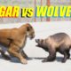 Far Cry 5 Arcade - Animal Fight: Cougar vs Wolverine Battles (Map Editor)