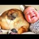 Funny Babies Playing With Dogs   Baby and Pet Videos Funny Baby #07