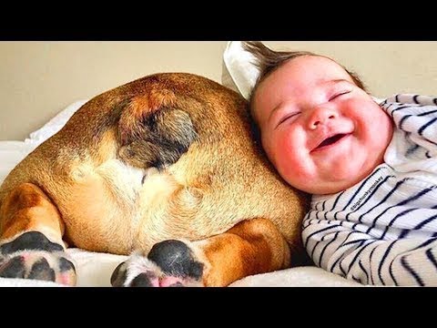 Funny Babies Playing With Dogs   Baby and Pet Videos Funny Baby #07