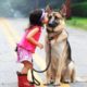 Funny Baby and Dogs Playing Together #2 - Baby and Dog are Best Friend