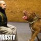 Getting Smashed By Hulk - The World's Biggest Pitbull | DOG DYNASTY