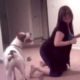 Girl playing with pitbull dog