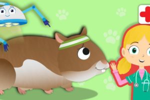 Gordon The Hamster Visits Dr Poppy's Pet Rescue | Animal Cartoons