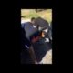 HOOD FIGHTS COMPILATION (PART 2) 2019