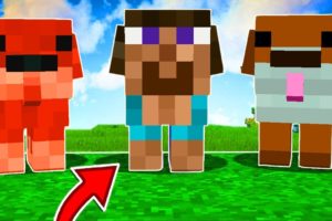 HOW TO GET PUPPIES IN MINECRAFT!?