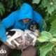 Hombre rescata a perrita embarazada del bosque | El Dodo