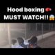 Hood Boxing Part3??(he Got Knocked Out?)#hoodfights #fights #boxing