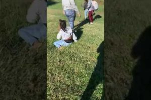 Hood girl fight part 3