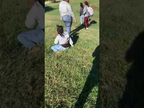 Hood girl fight part 3