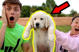 I SURPRISED MY CRUSH WITH A PUPPY!!