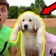 I SURPRISED MY CRUSH WITH A PUPPY!!