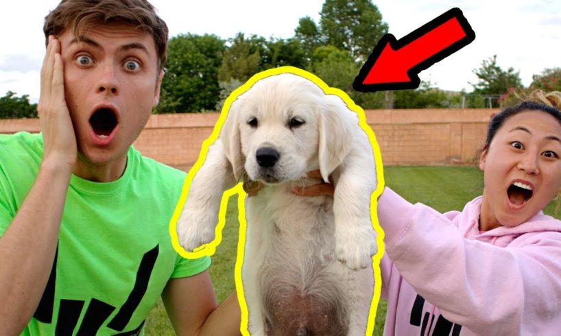 I SURPRISED MY CRUSH WITH A PUPPY!!