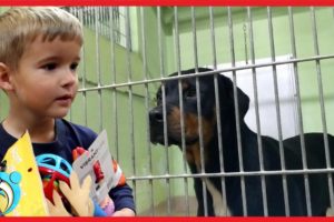 I'll Buy The Animal Rescue Whatever You Can Carry | Thumbs Up Family