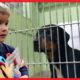 I'll Buy The Animal Rescue Whatever You Can Carry | Thumbs Up Family