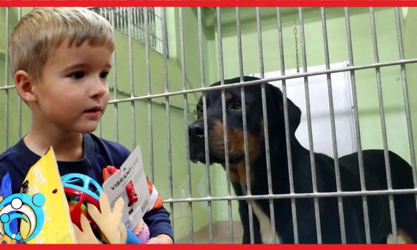 I'll Buy The Animal Rescue Whatever You Can Carry | Thumbs Up Family