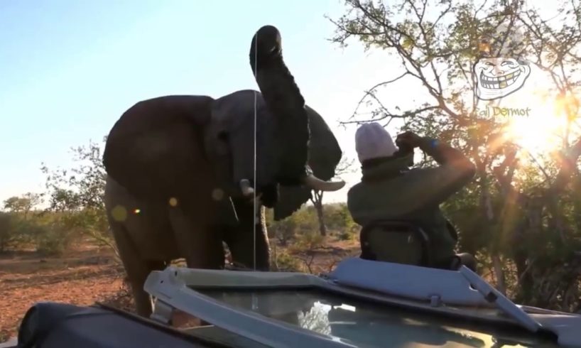 If it wasn't filmed you wouldn't believe | Near Death, Narrow Misses and Fails
