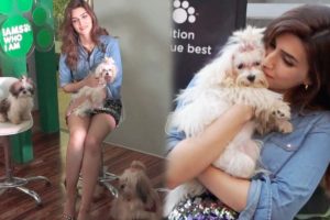 Kriti Sanon PLAYING With CUTE PUPPIES At IAMSO Launch By Mars Petcare India