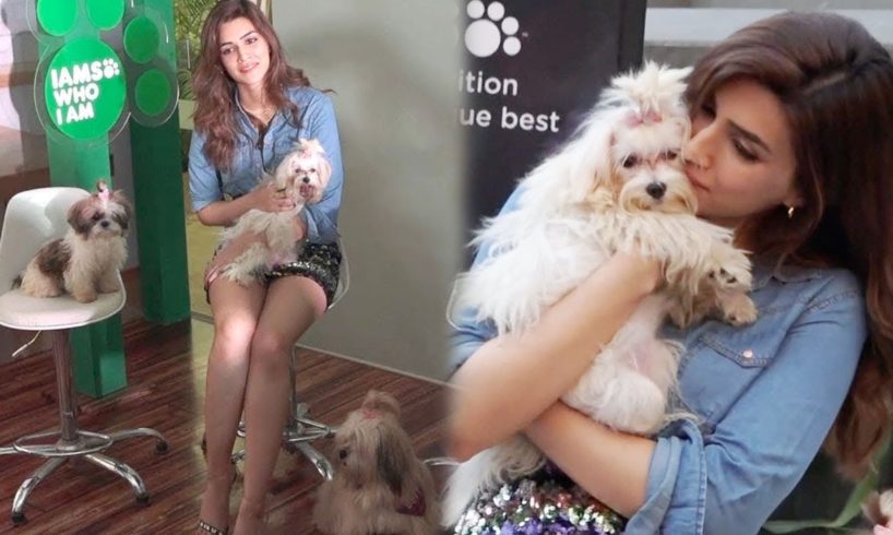 Kriti Sanon PLAYING With CUTE PUPPIES At IAMSO Launch By Mars Petcare India