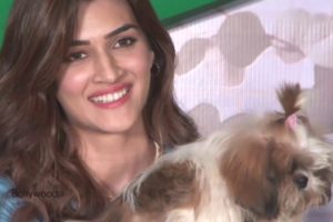 Kriti Sanon's MOST ADORABLE CUTE MOMENTS With Little Puppies