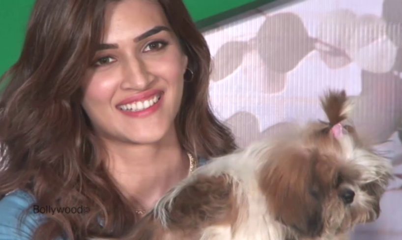 Kriti Sanon's MOST ADORABLE CUTE MOMENTS With Little Puppies