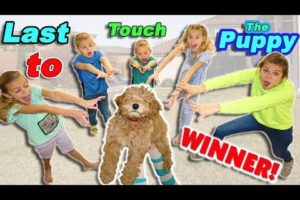 Last To Touch The CUTE PUPPY WINS!!