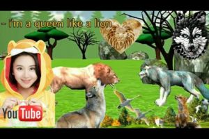 Lion vs The wolf Big Cat Fighting game//#cinatkhgaming