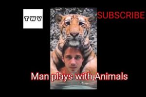 Man plays with Animals