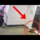 Man rescues dog after leash gets stuck in elevator
