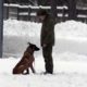MoD Posts Video With Cute Puppies to Wish Russians Happy New Year